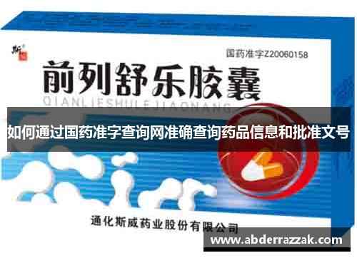 如何通过国药准字查询网准确查询药品信息和批准文号